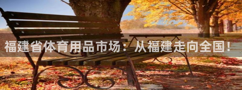 哈哈体育开户:福建省体育用品市场:从福建走向全国!