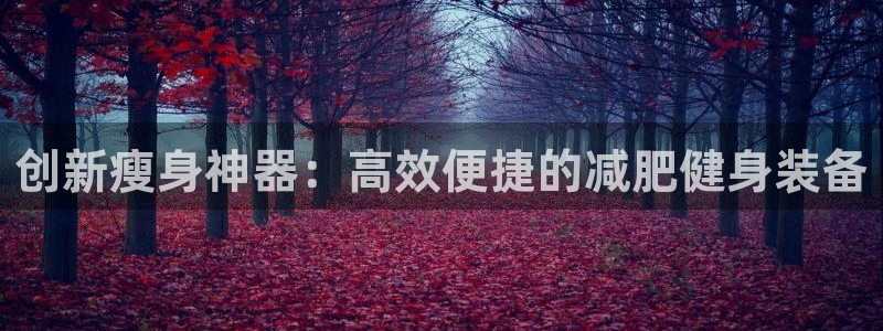 哈哈体育软件:创新瘦身神器:高效便捷的减肥健身装备